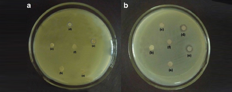 Biocide Antimicrobial supplier in Khartoum Sudan, Juba, Nzara, South Sudan, Safola, Suba, Al Gabaa, Omdurman Alshabi
