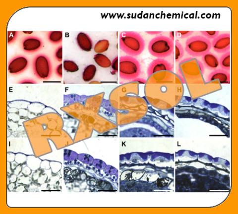 RUTHENIUM RED FOR MICROSCOPY