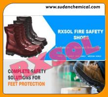 Foot Protection Safety SHOE