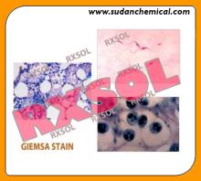 GIEMSA STAIN