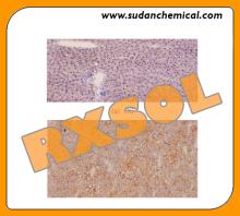SUDAN III FOR MICROSCOPY