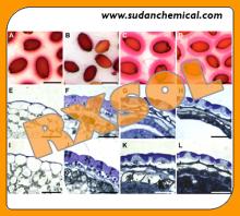 RUTHENIUM RED FOR MICROSCOPY