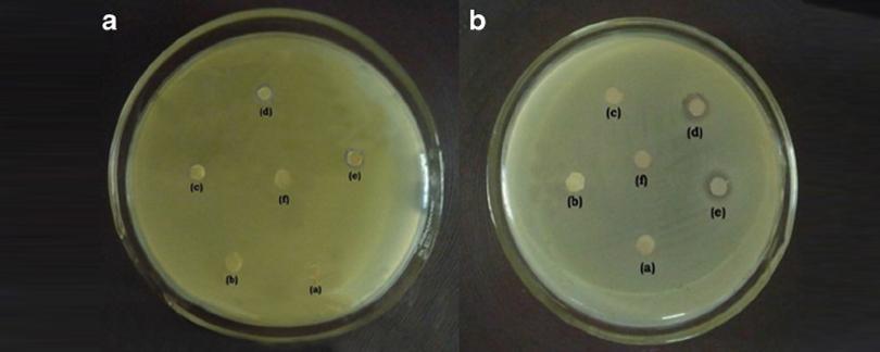 Biocide Antimicrobial supplier in Khartoum Sudan, Juba, Nzara, South Sudan, Safola, Suba, Al Gabaa, Omdurman Alshabi