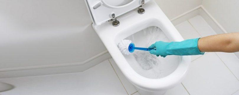 Biological Toilet Cleaner supplier in Khartoum Sudan, Juba, Nzara, South Sudan, Safola, Suba, Al Gabaa, Omdurman Alshabi